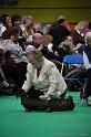 Crufts2011_2 973